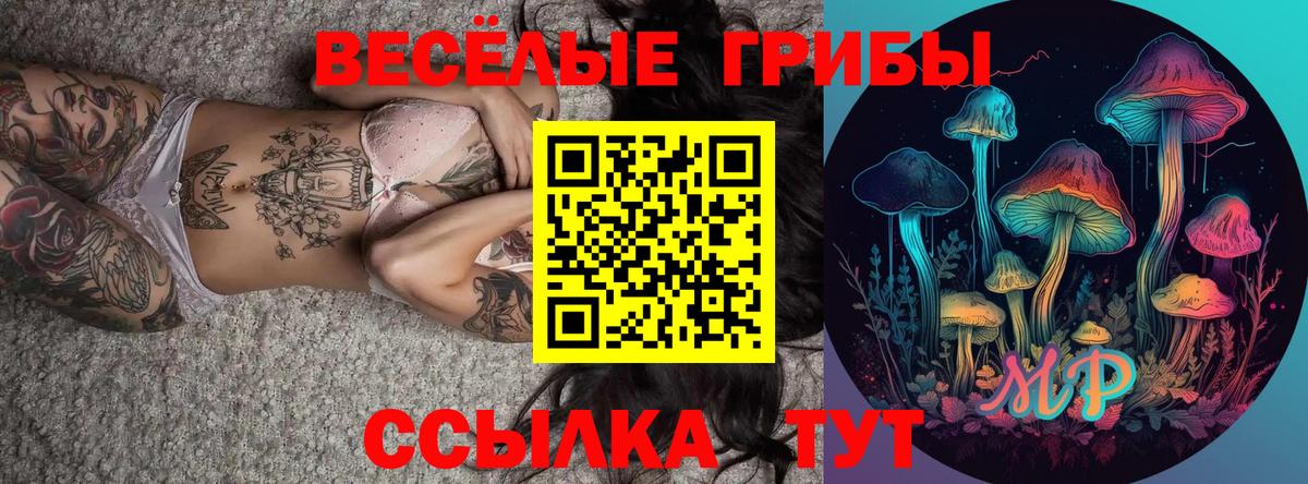 Псилоцибиновые грибы Psilocybine cubensis  Вход с VPN  Петропавловск-Камчатский 